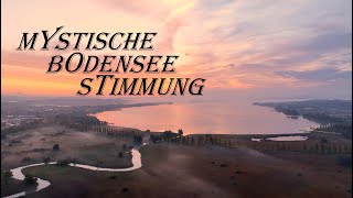 Mystische Herbstnebel Stimmung am BODENSEE  4K [upl. by Rainie]