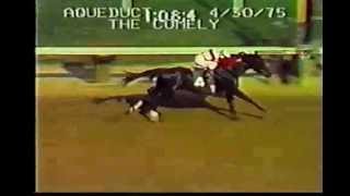 Ruffian  1975 Comely Stakes [upl. by Eserahc204]