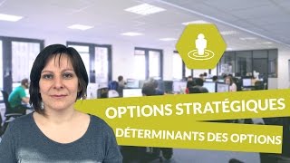 Les principales options stratégiques des entreprises  déterminants des options stratégiques [upl. by Rakso]