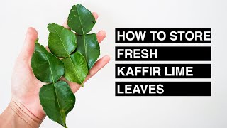 How to store fresh kaffir lime leaves │Pana Napa Kitchen [upl. by Amin]