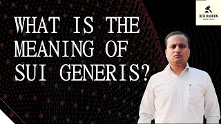 What is the meaning of Sui Generis [upl. by Hudgens]