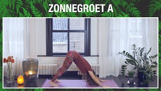 Zonnegroet A stap voor stap en steeds een beetje sneller  YOGA MET MILOU [upl. by Elyrehc172]