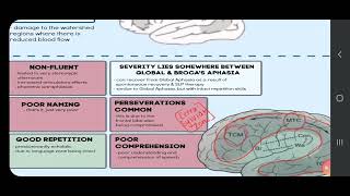 Transcorticol Mixed Aphasia an overview [upl. by Amiarom]