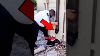 Animal Rescued From Pipe 😱 [upl. by Atsillak699]