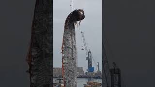 Spectacular Footage Shows Crane Reeling 16FootLong Oarfish in Chilean Port [upl. by Jump]