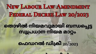 New Labour Law AmendmentFederal Decree Law 202023  ADV P A HAKKIM [upl. by Odrahcir370]