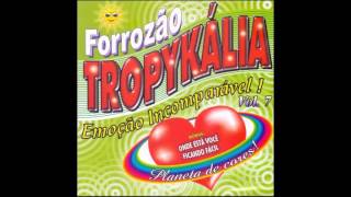 CD Forrozão Tropykália Planeta de Cores  Vol 7 2004 [upl. by Gavrilla]