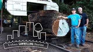 Urban Sawmilling Series Hunski Hardwoods  WoodMizer [upl. by Whorton291]