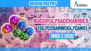 Mucopolysaccharides Glycosaminoglycans  Animation [upl. by Annnora]