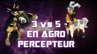 3 vs 5 en percepteur  avec SailxusRadicaleAzg [upl. by Semela]