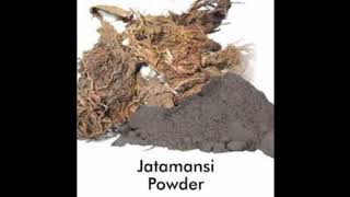 how to use jatamasi powder जटामांसी का इस्तेमाल कैसे करें [upl. by Ardnwahs756]