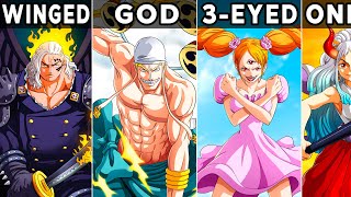 Every Race In One Piece Explained [upl. by Nella]