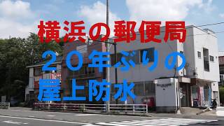 20年ぶりの屋上防水 傷んだシートを撤去して下地からまるごとウレタン防水で修復 [upl. by Cyprian879]