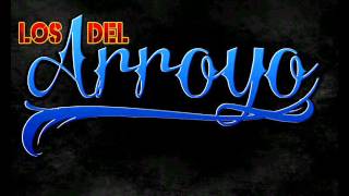 Los Consejos  Los Del Arroyo En Vivo Con Tuba 2014 [upl. by Raffaello]