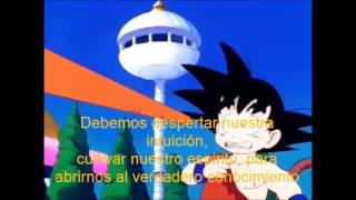 Que es la meditacion Meditacion en Dragon Ball [upl. by Anahsed287]