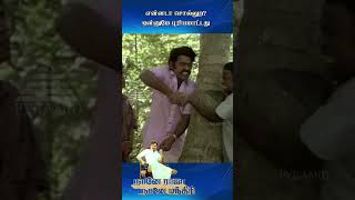 என்னடா சொல்லுற ஒன்னுமே புரியமாட்டது  Naane Raja Naane Mandhiri Movie Scenes  Vijayakanth Shorts [upl. by Ariel536]