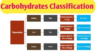 Carbohydrates Classification Clinical significance of different carbohydrates [upl. by Netaf266]