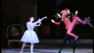 1989 Bolshoi Ballet Nutcracker excerpts 312 by GrigorovichTchaikovsky  The Nutcracker Doll [upl. by Adnhoj691]