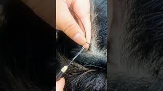 Quick Installation guide for cotton thread with Mejor Milagros wholesale Hair extension [upl. by Tik]