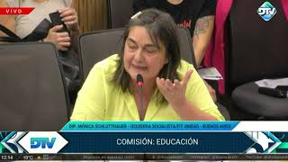 En defensa del presupuesto educativo  Diputada Schlotthauer  Izquierda Socialista FITU [upl. by Enilorac]