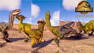 Pachycephalosaurus Dracorex Stygimoloch Finishers vs Small Carnivore Dinosaurs  JWE2 [upl. by Khan349]