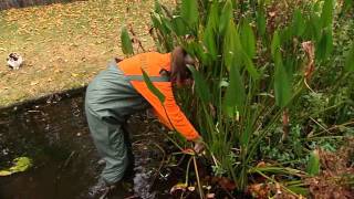 Astuce de jardin Floralux Préparer létang pour lhiver [upl. by Matilda]