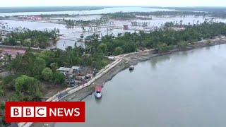 Why the world’s largest mangrove forest is sinking  BBC News [upl. by Maddeu]