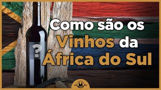 ÁFRICA DO SUL Principais Regiões Vinhos e Uvas [upl. by Anceline]