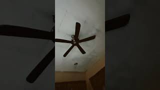 top 5 elmark ceiling fans i have [upl. by Annol]