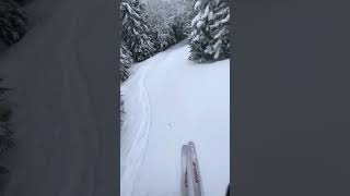 Idiots Delight into North Slope  Mittersill Ski Resort  Franconia NH [upl. by Nirb]