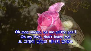 Les parapluies de CherbourgThe Umbrellas of Cherbourg  Nana Mouskouri with Lyrics가사번역쉘부르의 우산 [upl. by Waylin444]