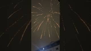 Vsr4 Ball Head Rocket By Vivid Pyrotechnics  186g NEC  UK Footage [upl. by Saixela]