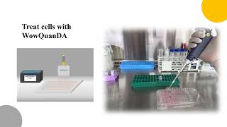 Wow QuanDA cell prolfieration Cytotoxicity Kit [upl. by Niwde]