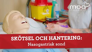 Skötsel och hantering  Nasogastrisk sond [upl. by Aiynat]