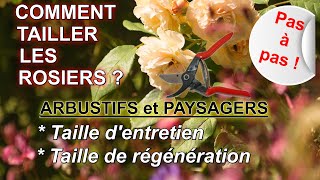 Comment tailler les rosiers  Arbustifs et Paysagers  Pas à pas [upl. by Bose]