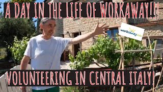 Workaway  Volunteering in central Italy [upl. by Enidanreb]