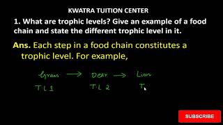 1 What are trophic levels Give an example of a food chain and state the different trophic level in [upl. by Neerual]