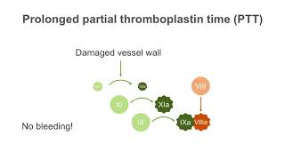 How to interpret a partial thromboplastin time PTT test [upl. by Whitnell809]