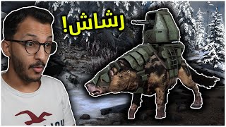 أرك فيوردور 3  افضل ديناصور دفاعي؟ Ark Fjordur [upl. by Yelsgnik]