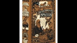 The Origin of Species  A Folio Society Review [upl. by Beeck]