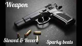 Weapon Slowed  Reverb  KD Desirock  new songs  haryanvi song  Sparky beats [upl. by Ulland]