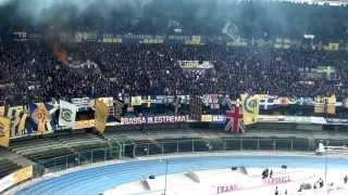 hellas verona vs napoli curva sud universita del tifo [upl. by Coyle]