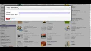 Change language in OpenERP 70 [upl. by Virginie]