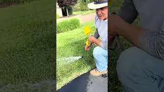 Expert Sprinkler Head Adjustments amp Repairs for Optimal Irrigation [upl. by Allison]