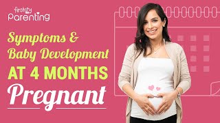 4 Months of Pregnancy Signs and Baby Development [upl. by Jeff]