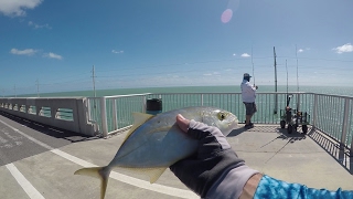 Fishing The Florida Keys  Long Key Bridge [upl. by Mcgurn]