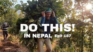 Volunteer Workaway Farming in Nepal  Ep 187 [upl. by Karim]