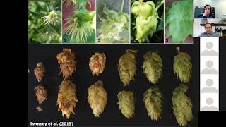 Management of Hop Powdery Mildew  Dr David Gent [upl. by Adnolahs320]