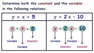 Whats a Constant and a Variable [upl. by Hamitaf825]