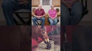 Dr Pol Reacts – Unlikely Animal Friends and a Parrot with a Potty Mouth 🐱🐴🦜drpol unlikelyfriends [upl. by Hselin]